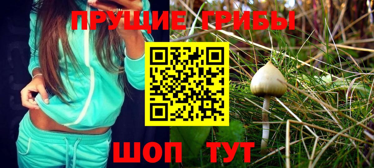 Псилоцибиновые грибы MAGIC MUSHROOMS Зеленокумск
